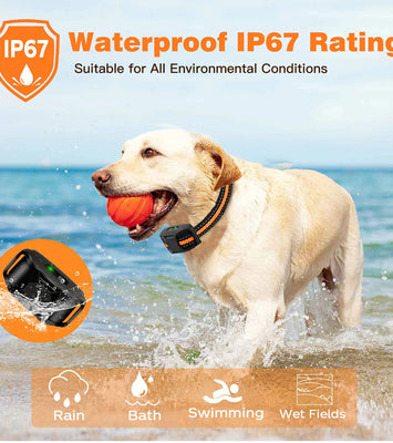 ProRange™ 3300Ft Waterproof Remote Dog Training Collar