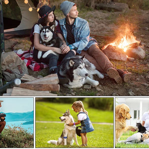 BarkGuard™ Ultrasonic Dog Training Device