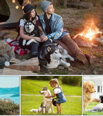 BarkGuard™ Ultrasonic Dog Training Device – Anti-Barking & Behavior Correction