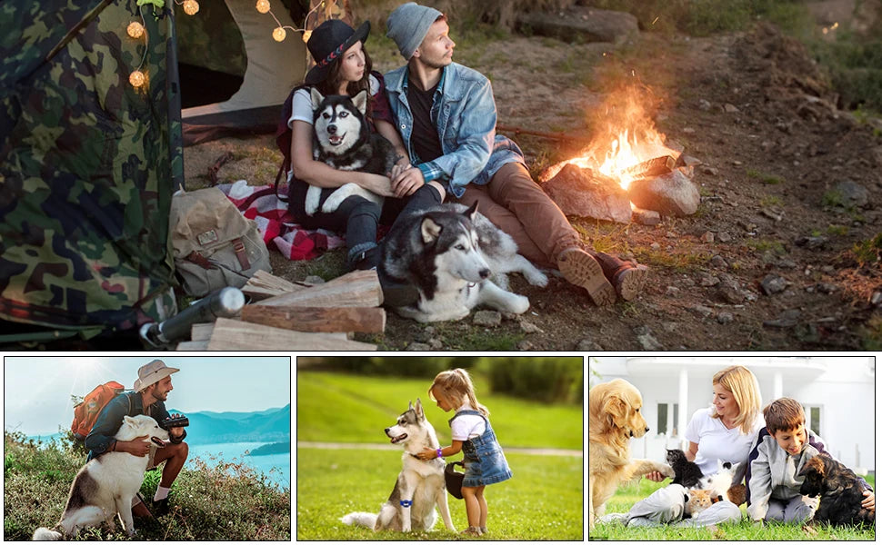 BarkGuard™ Ultrasonic Dog Training Device – Anti-Barking & Behavior Correction