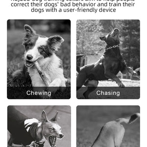 ROJECO SmartCharge™ Digital Dog Training Collar – Remote, Rechargeable & Waterproof