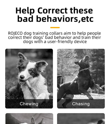 ROJECO SmartCharge™ Digital Dog Training Collar – Remote, Rechargeable & Waterproof