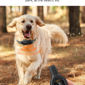 ROJECO SmartCharge™ Digital Dog Training Collar – Remote, Rechargeable & Waterproof