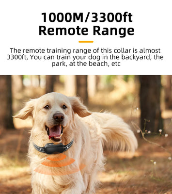 ROJECO SmartCharge™ Digital Dog Training Collar – Remote, Rechargeable & Waterproof