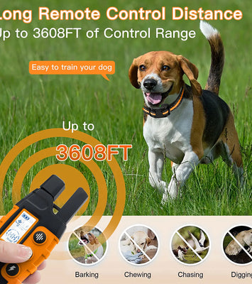 ProRange™ 3300Ft Waterproof Remote Dog Training Collar
