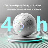 PawBounce Toy Ball - product overview