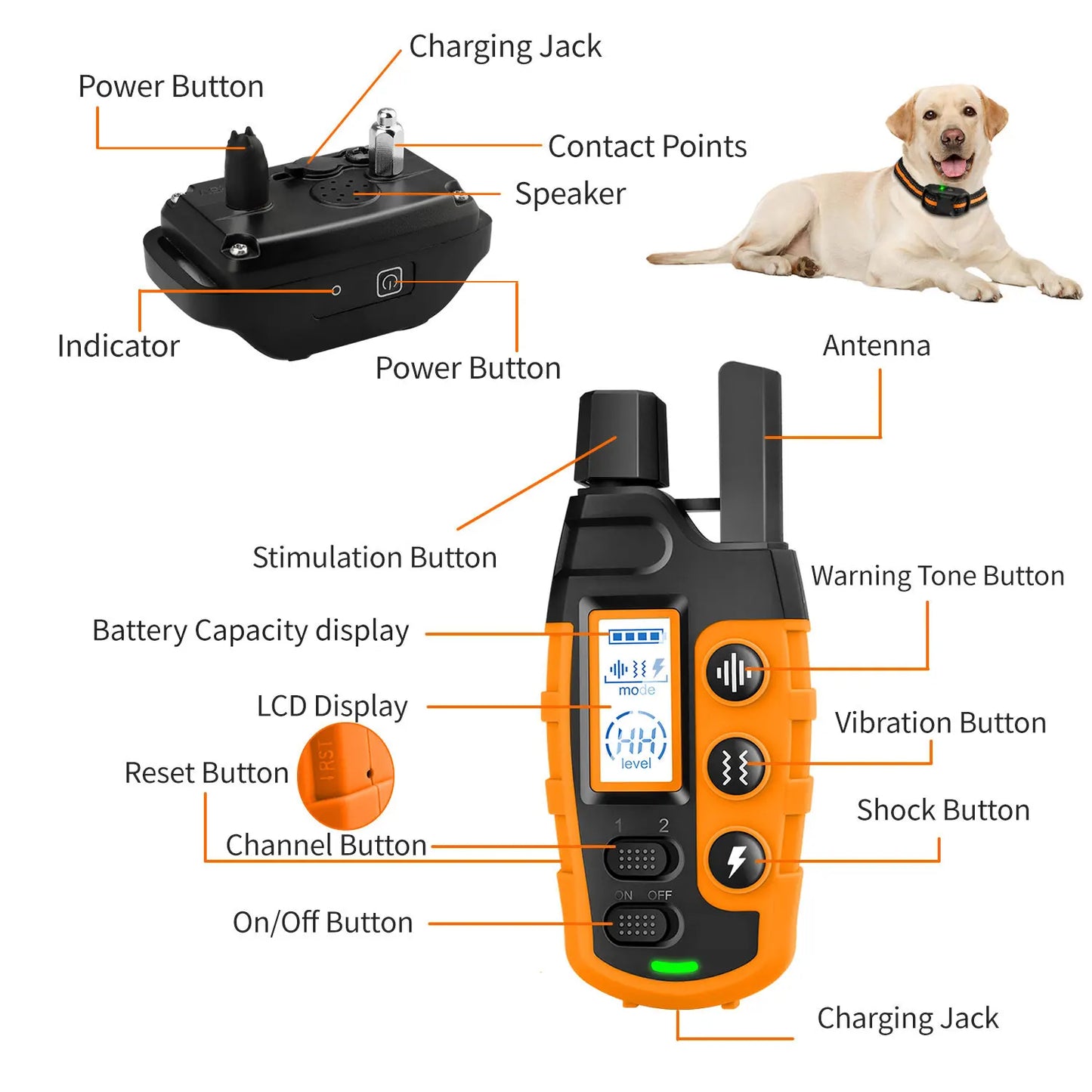 ProRange™ 3300Ft Waterproof Remote Dog Training Collar