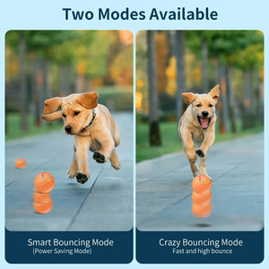 PawBounce™ Smart Interactive Dog Toy Ball - FurVenity