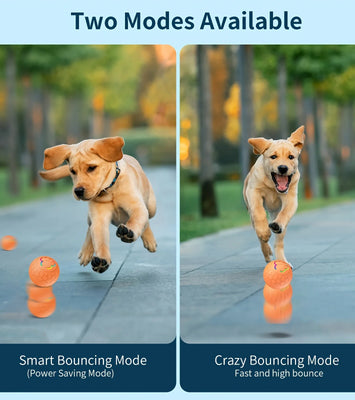 PawBounce™ Smart Interactive Dog Toy Ball