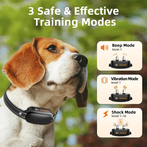 ROJECO SmartCharge™ Digital Dog Training Collar – Remote, Rechargeable & Waterproof