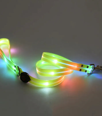 Rechargeable LED Pet Collar with Nylon Leash