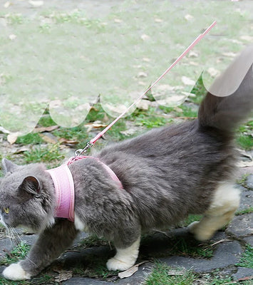 Anti-skidding cat harness