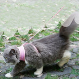 Anti-Skidding Cat Harness worn by a cat outdoors