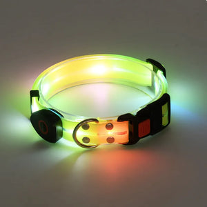 Rechargeable LED Pet Collar with Leash – High-Visibility Safety for Night Walks