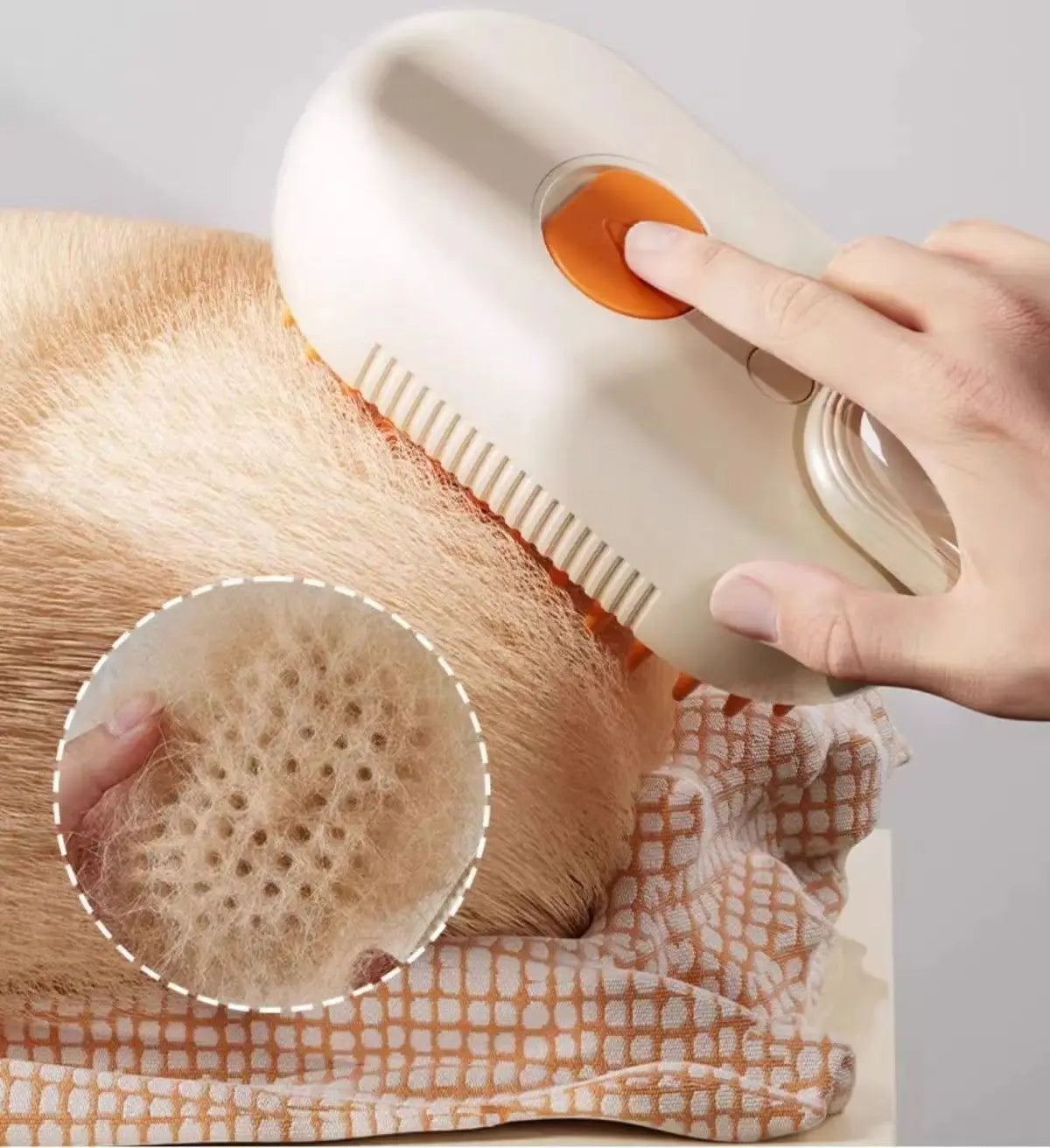 Feline Steam Groomer
