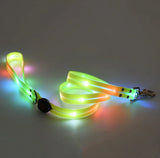 Rechargeable LED Pet Collar in use on a walk