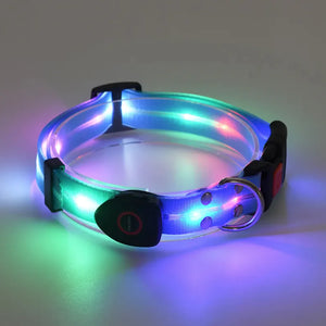 Rechargeable LED Pet Collar with Leash – High-Visibility Safety for Night Walks