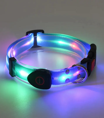 Rechargeable LED Pet Collar with Nylon Leash