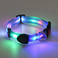  Dog Collar Blue
