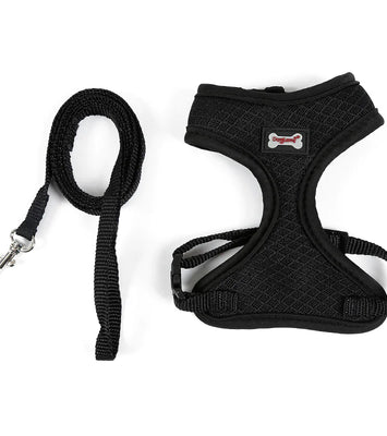 Anti-skidding cat harness