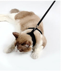 Anti-skidding cat harness