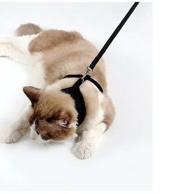 Anti-skidding cat harness