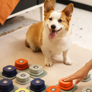 Interactive Pet Training Toy – Fun Puzzle Game for Smarter, Happier Pets