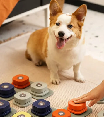 Pet Toy