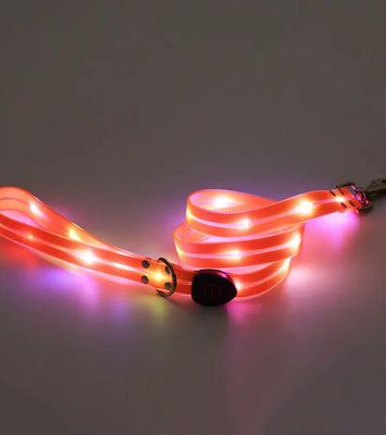 Rechargeable LED Pet Collar with Nylon Leash