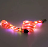 Rechargeable LED Pet Collar buckle and clip hardware