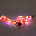  Dog Traction Belt Orange