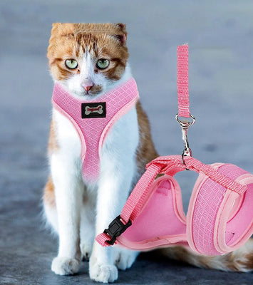 Anti-skidding cat harness