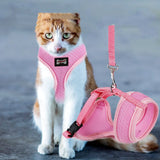 Anti-Skidding Cat Harness color options